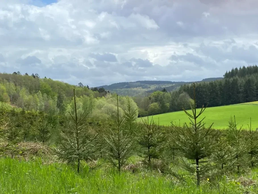 La Semois bij Camping le Trou du Cheval
