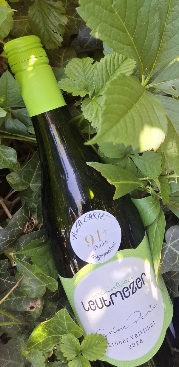 Grüner Veltliner  Grüne Perle 2024