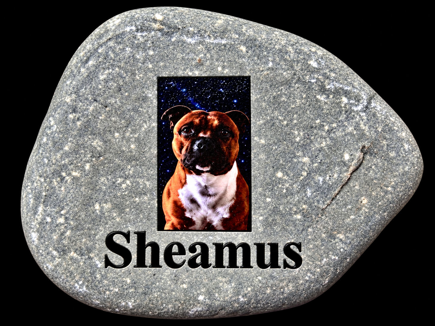 Picture Of Your Dog With Name