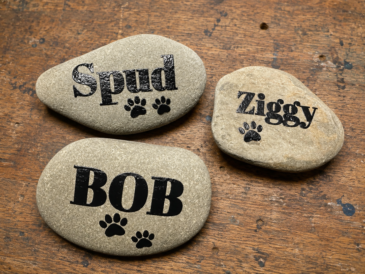 Name Of Dog And Paw Print