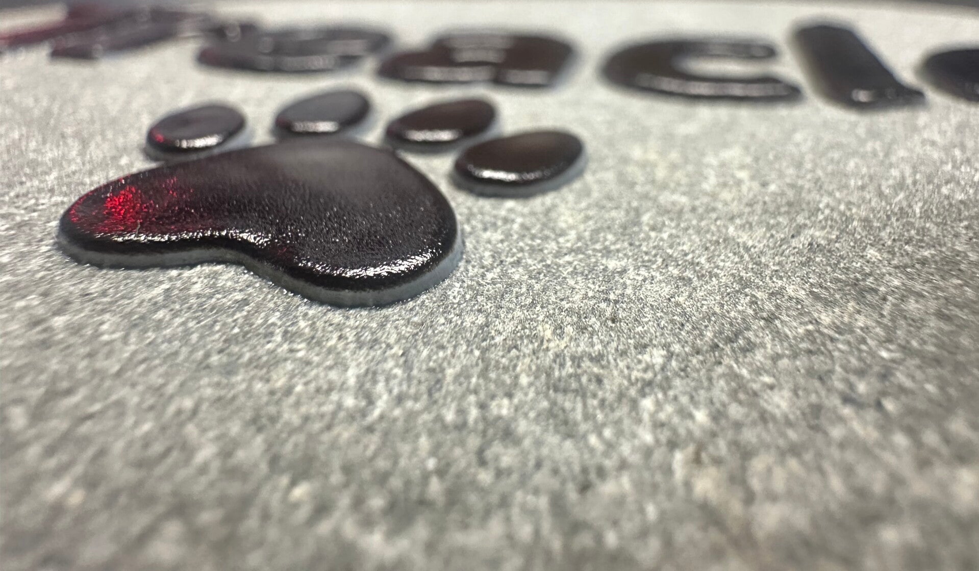 Dogs Name & Paw Print / 3D TEXT(Raised)