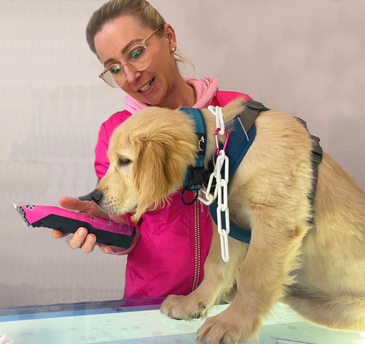 Mio Hundesalon mio-hundesalon