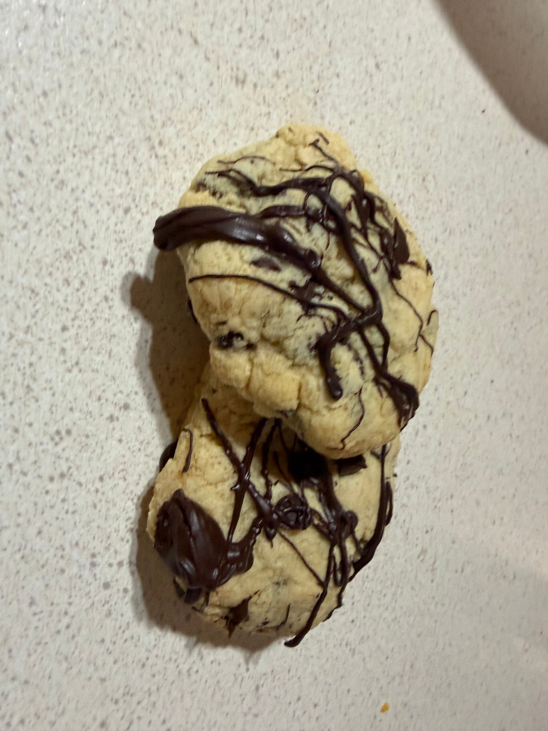 Choc-Chip Cookie