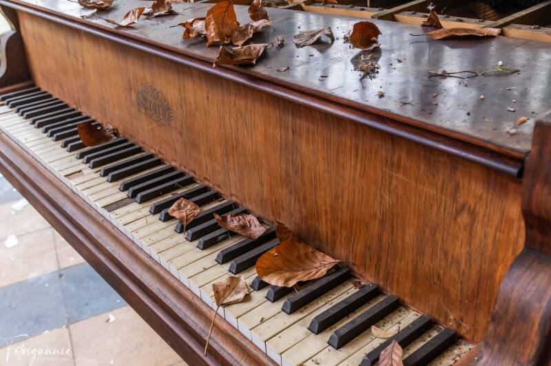 serie-1157-29-standard.jpg