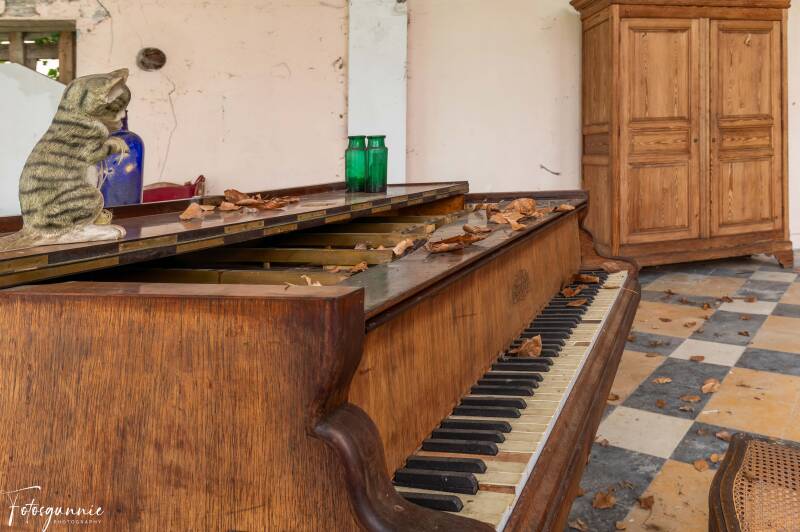 serie-1157-32-standard.jpg