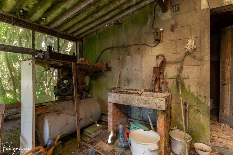 serie-1162-16-standard.jpg