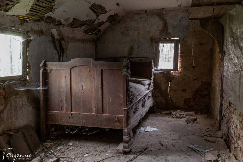 serie-1164-1-standard.jpg