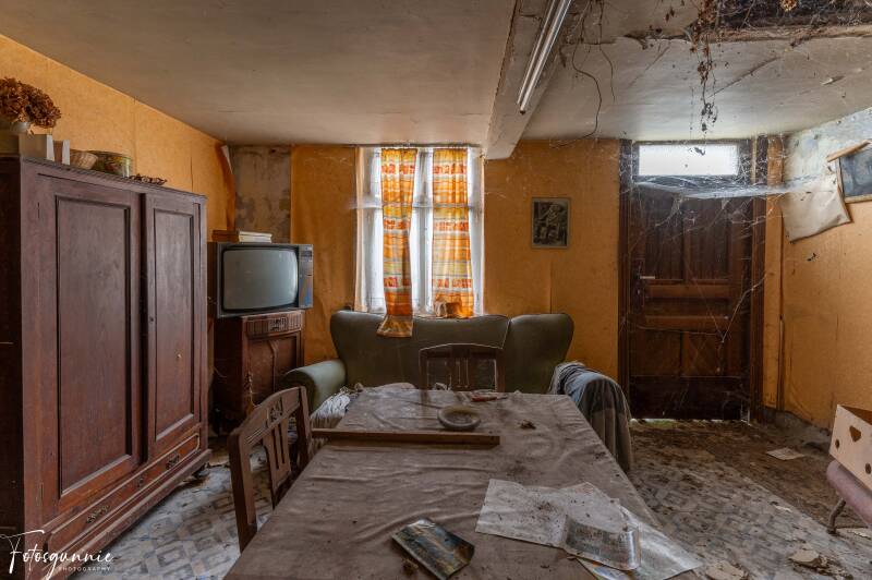 serie-1164-11-standard.jpg