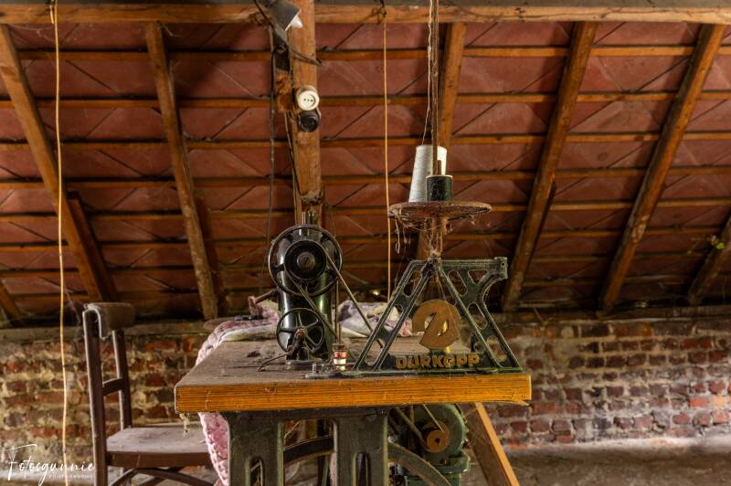 serie-1166-24-standard.jpg