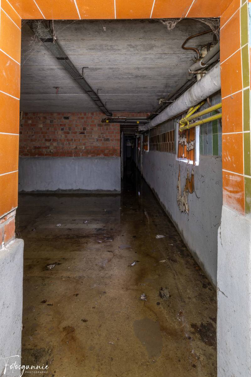 serie-1167-7-standard.jpg