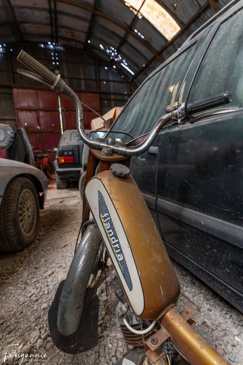 serie-1171-14-standard.jpg