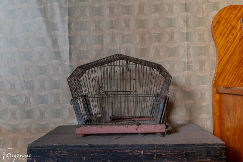 serie-1175-4-standard.jpg