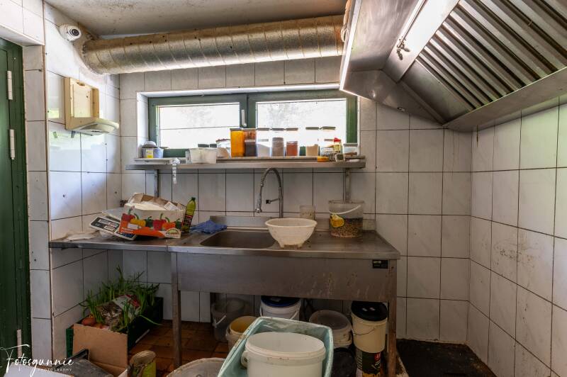 serie-1176-15-standard.jpg