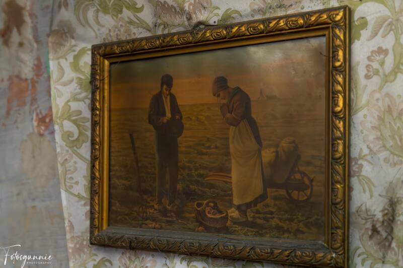 serie-1177-6-standard.jpg