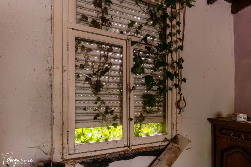 serie-1179-22-standard.jpg