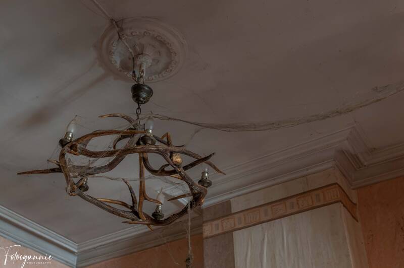 serie-1180-33-standard.jpg