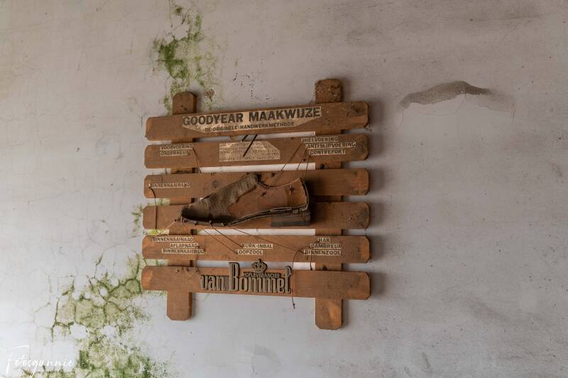 serie-1181-9-standard.jpg