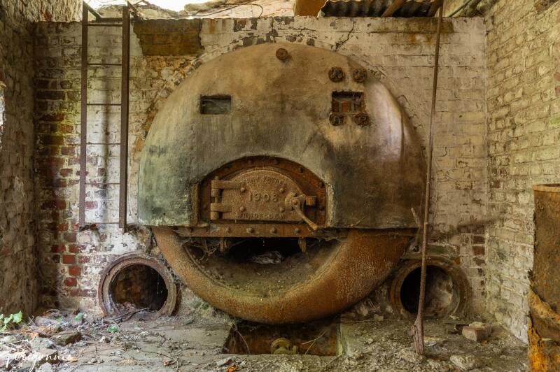 serie-1184-1-standard.jpg