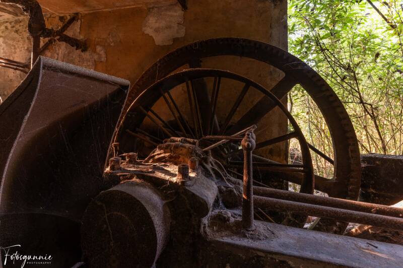 serie-1184-4-standard.jpg