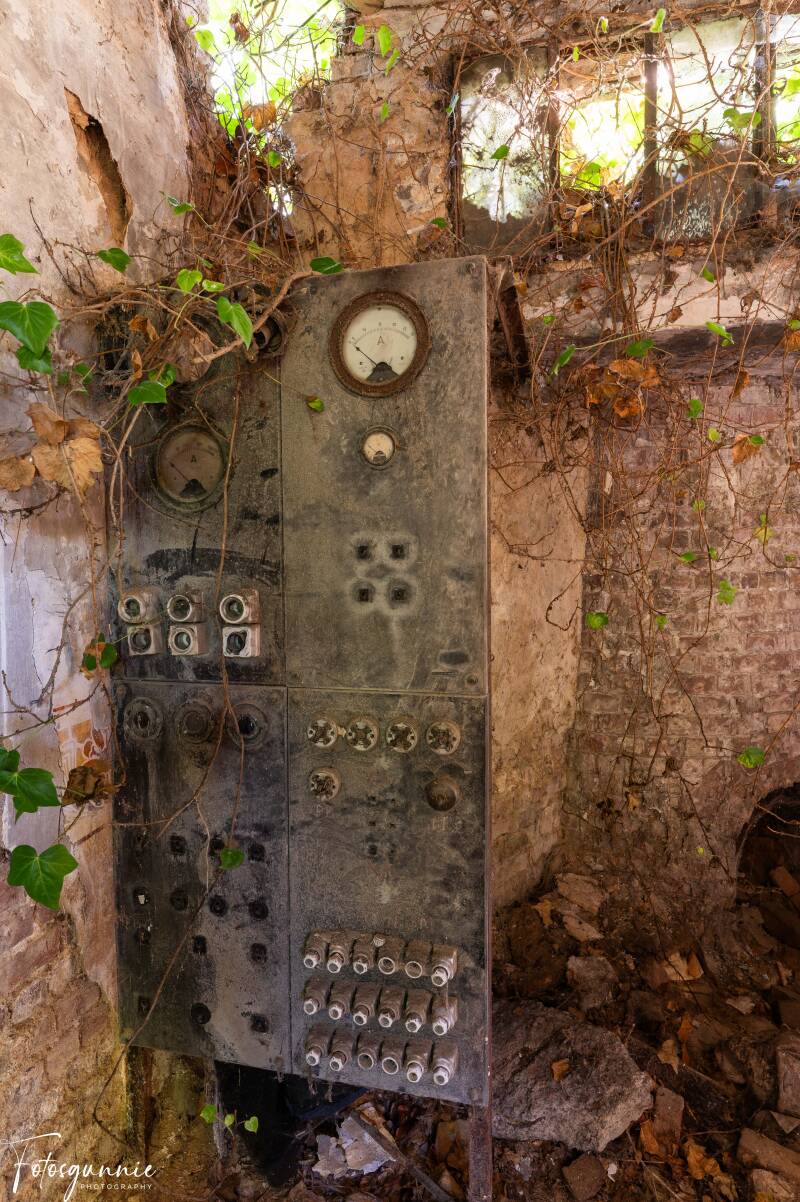 serie-1184-9-standard.jpg