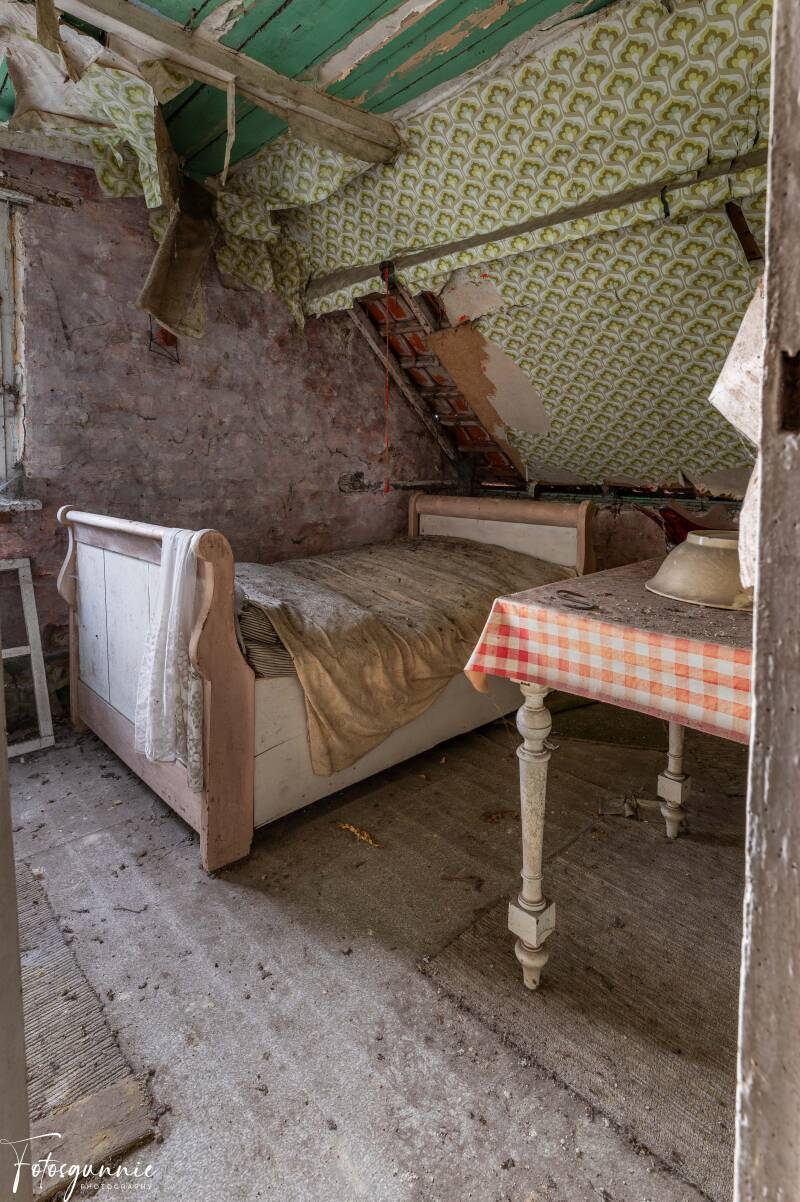 serie-1194-31-standard.jpg
