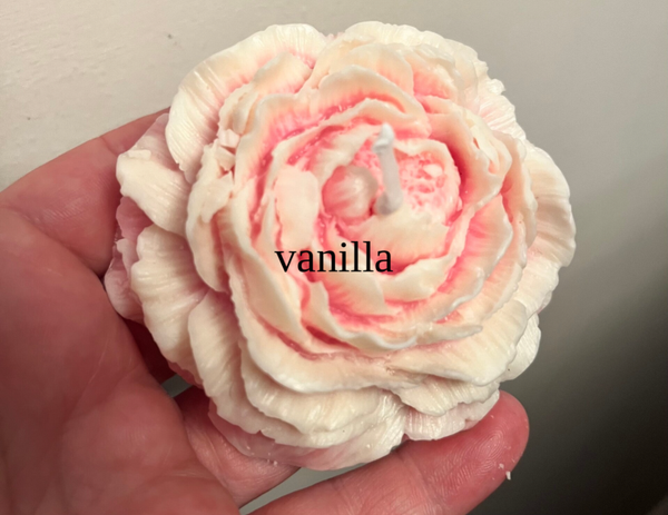 vanilla Peony candle, flower