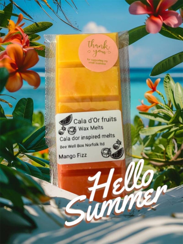 Mango fizz Cala dor fruit man inspired melts