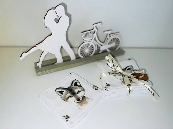 Lingettes nettoyantes 5 pièces