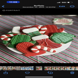 img_6113-standard.png