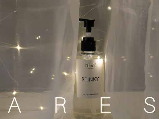 STINKY Shampooing naturel pour chien - Bergamote/Lavande -
