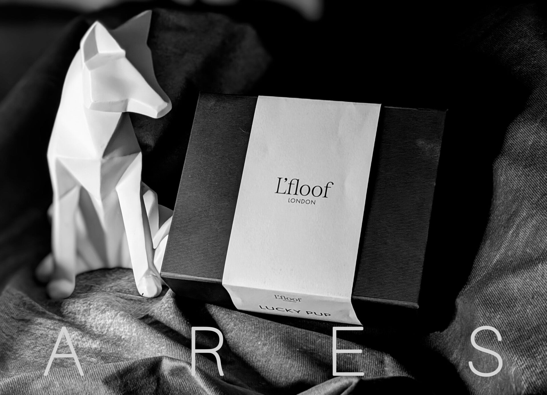 Set de toilettage pour chien 6 pièces Lfloof