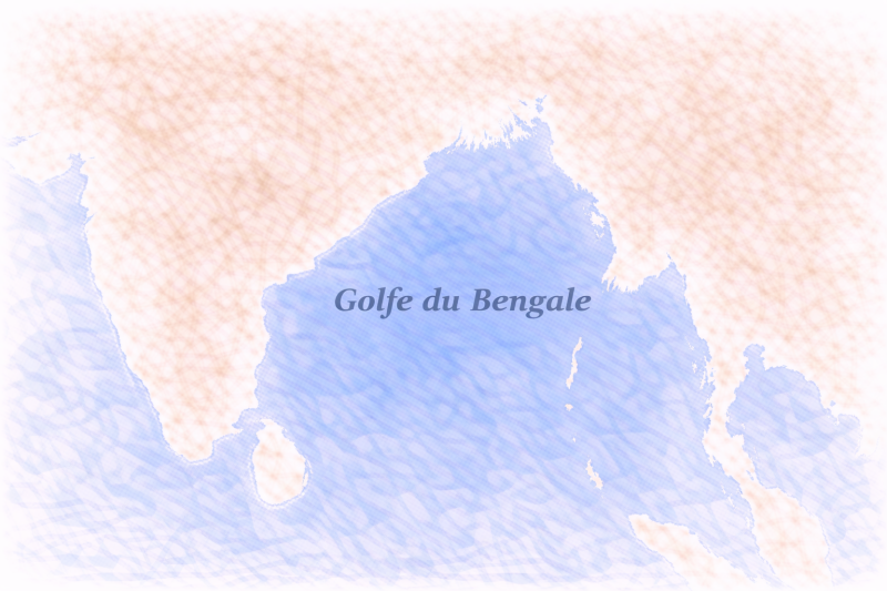 phytoplancton Golfe du Bengale