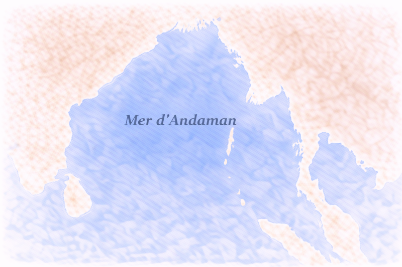 Phytoplancton Mer d’Andaman