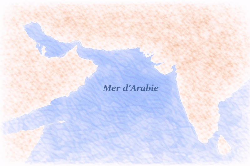 phytoplancton Mer d’Arabie