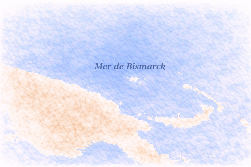 phytoplancton Mer de Bismarck
