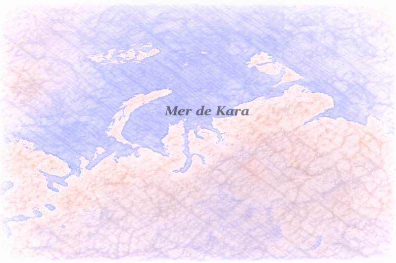 phytoplancton Mer de Kara