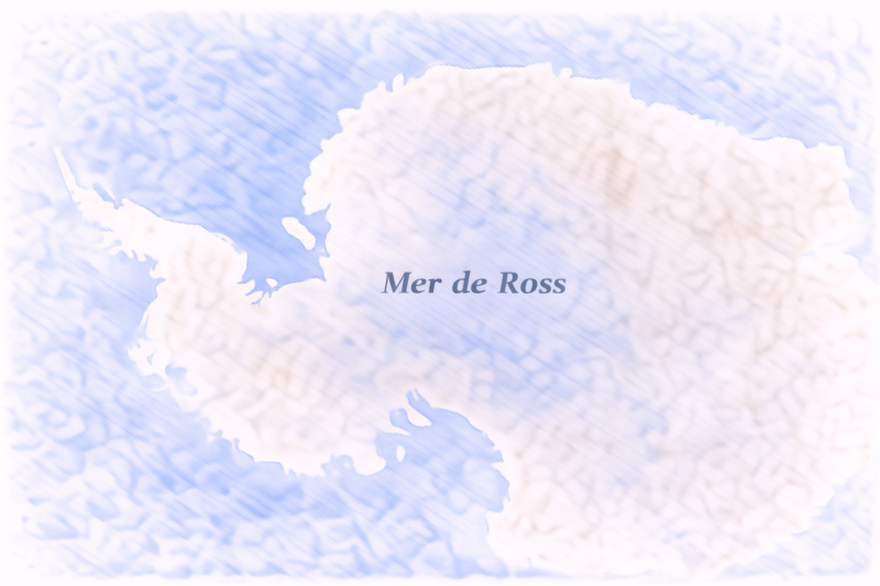 phytoplancton Mer de Ross