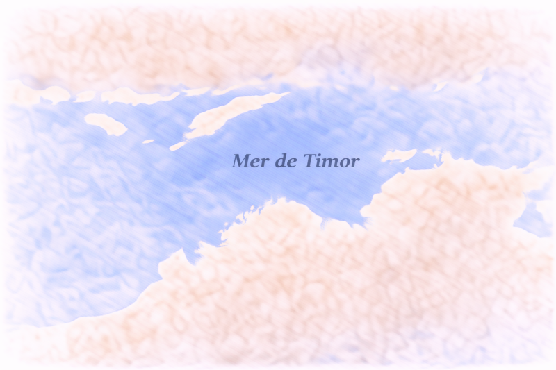 phytoplancton Mer de Timor