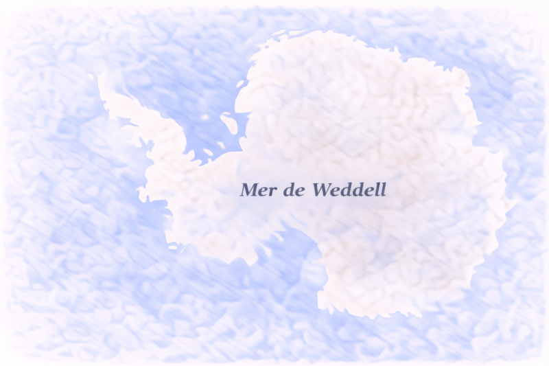 phytoplancton Mer de Weddell