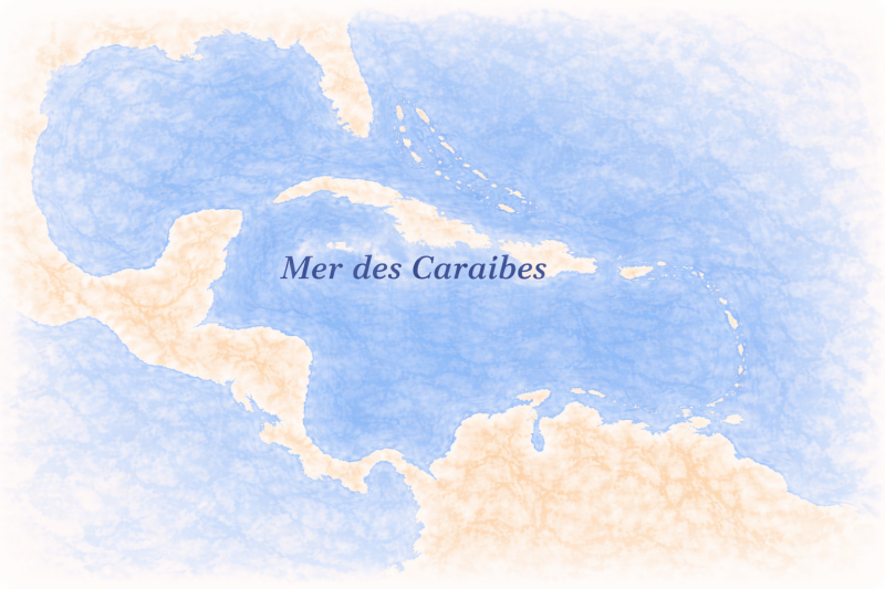 Phytoplancton Mer des Caraïbes