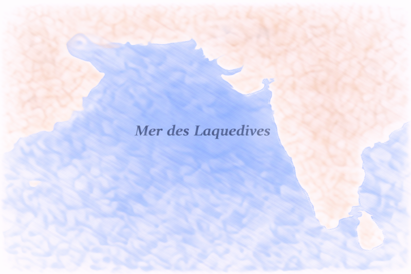 phytplancton Mer des Laquedives