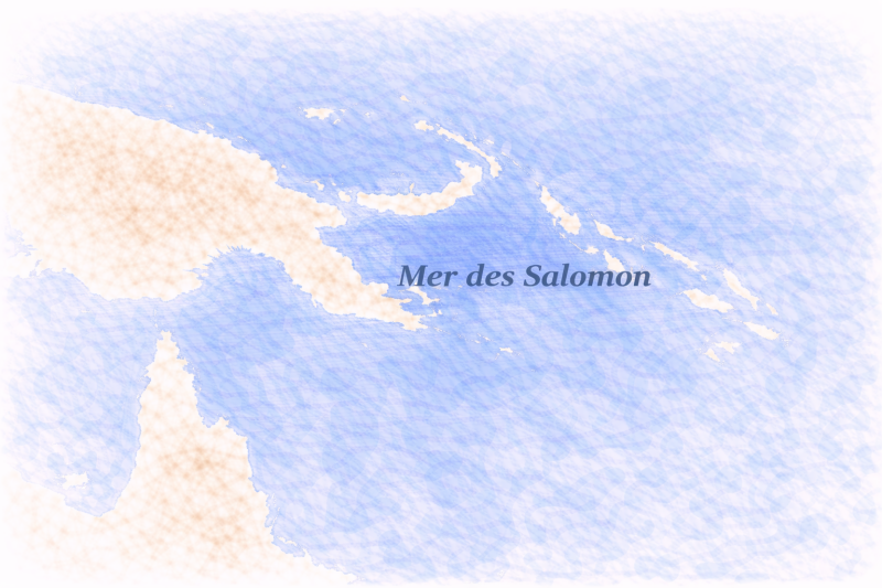 phytoplancton Mer des Salomon