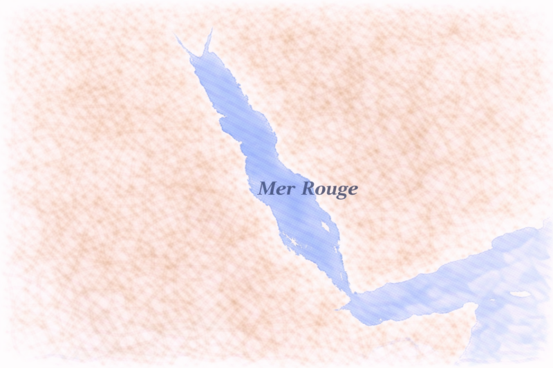 phytoplancton Mer Rouge