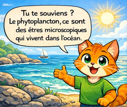 Le phytoplancton est microscopique