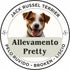 allevamento pretty