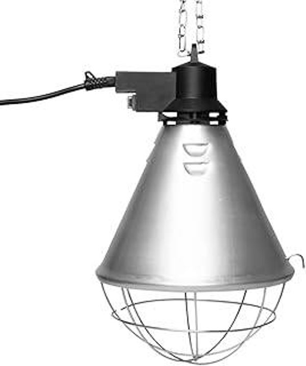 Lampe d’élevage, chauffante