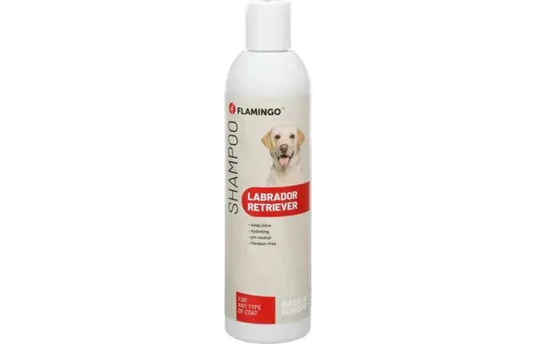 Shampoing pour labrador 300 ml x 3 pcs