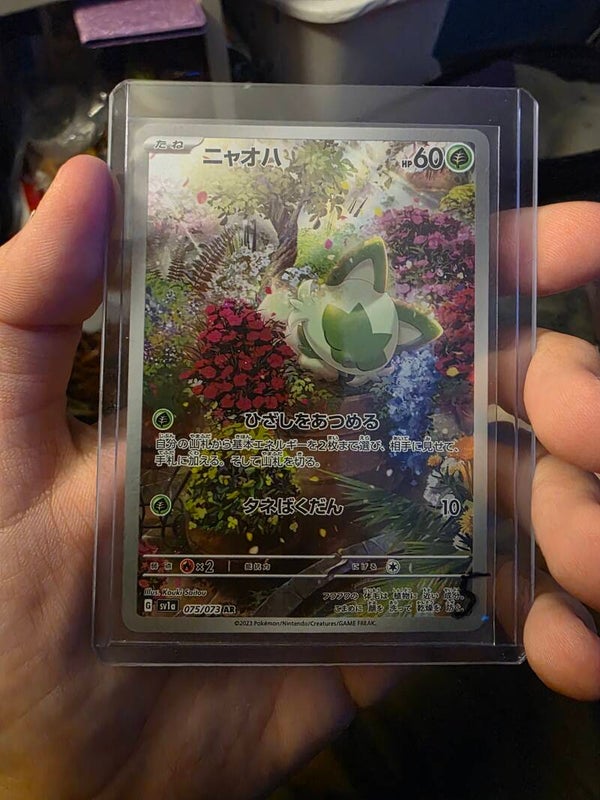 Sprigatitio Art Rare