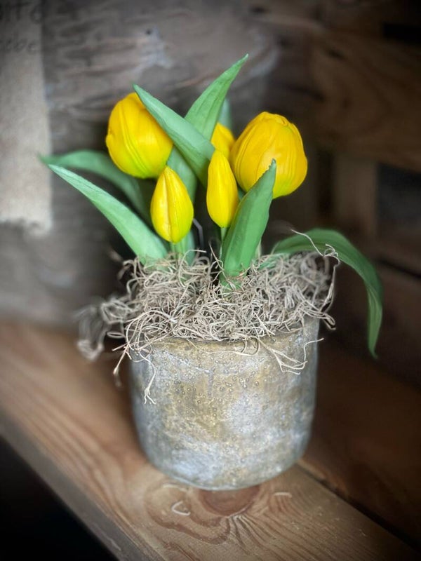 Gele tulpen in een potje
