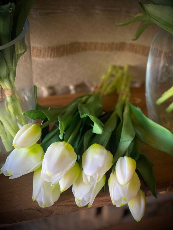 Witte tulpen. nr. 4179